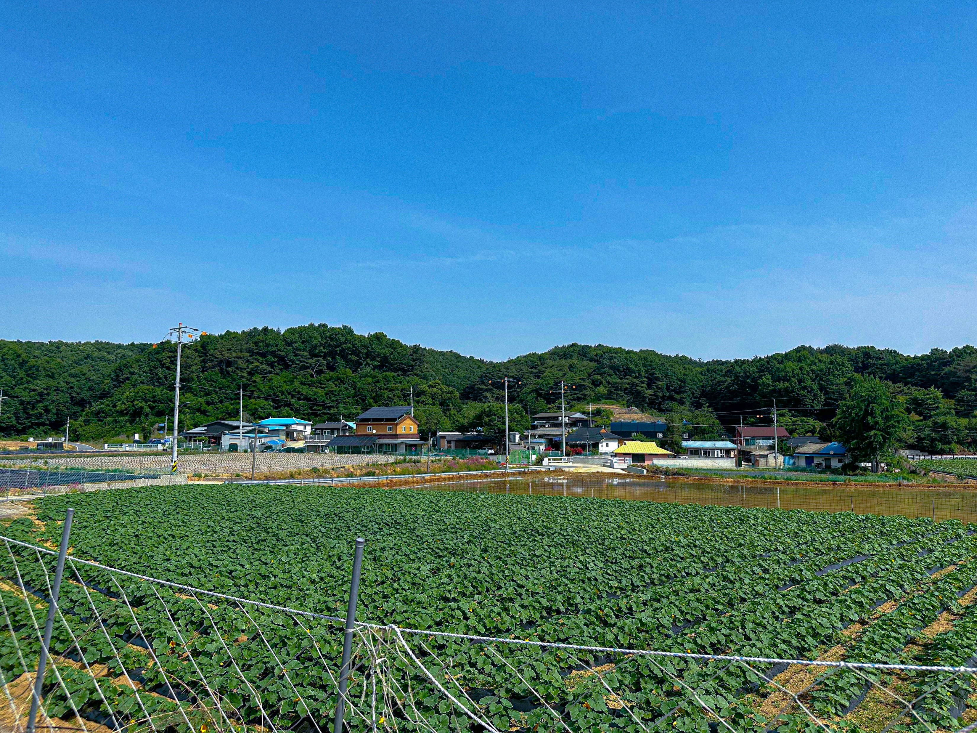 단지 배너 이미지