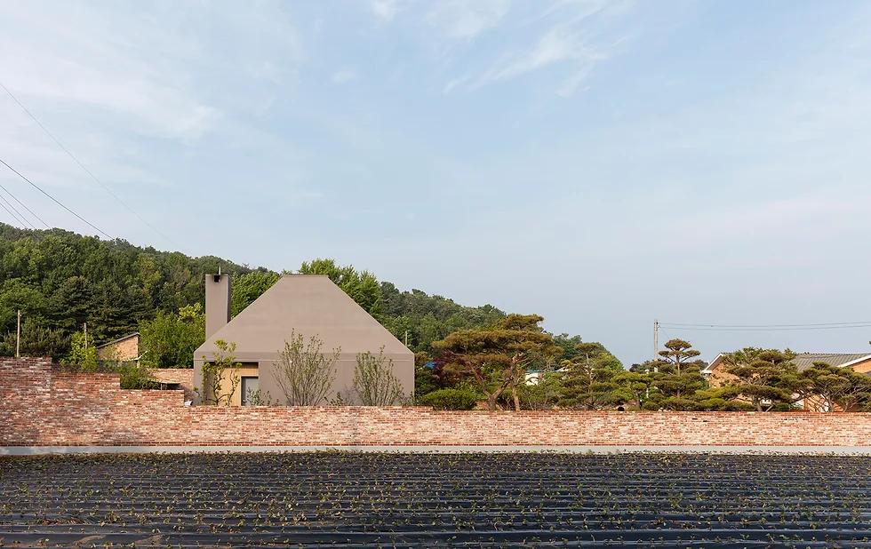 배경 이미지