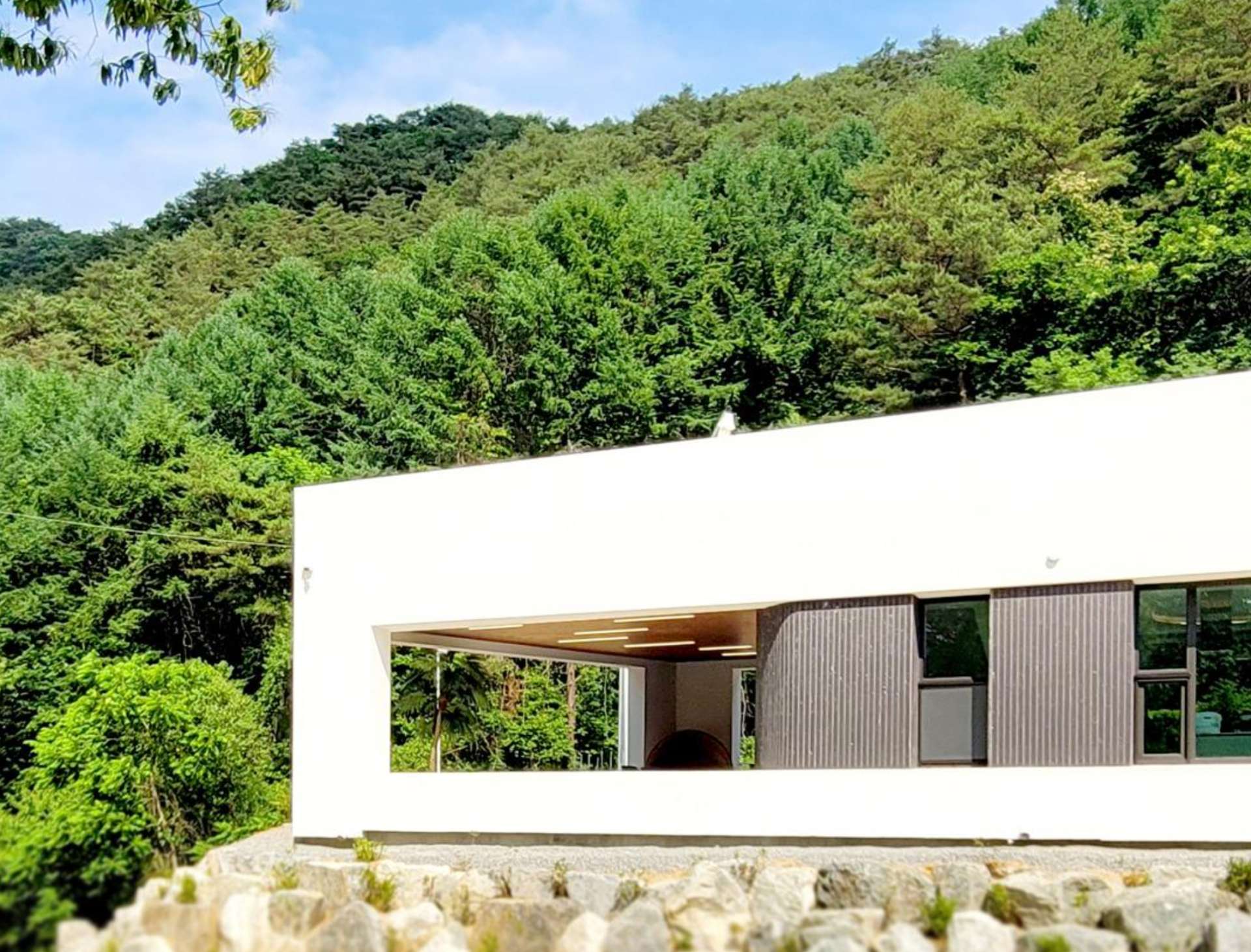 배경 이미지